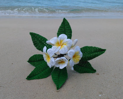 Frangipani Plumeria