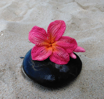 Frangipani Plumeria