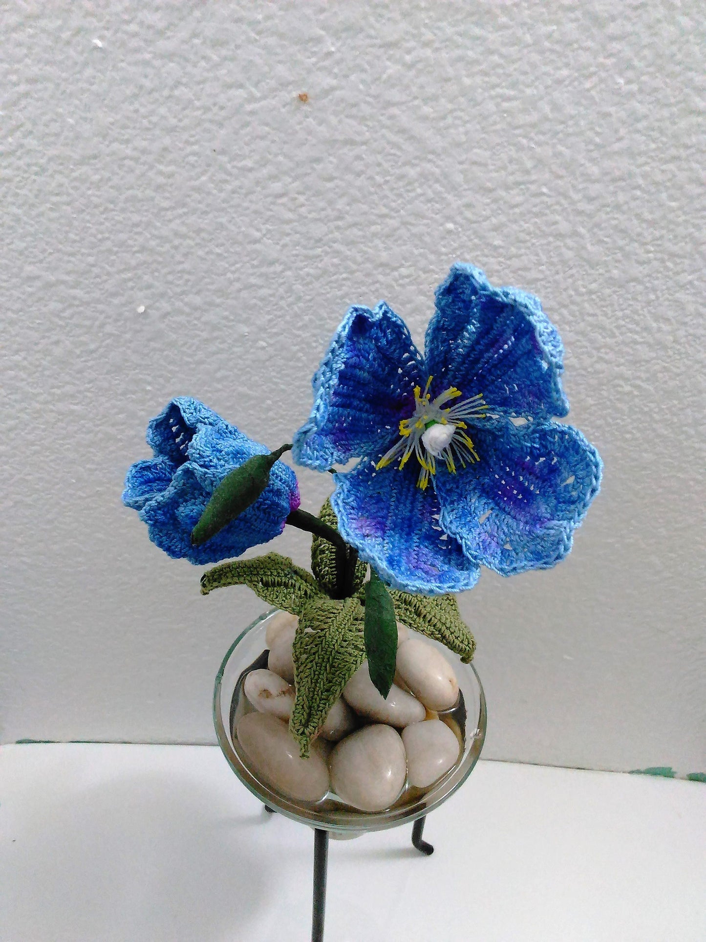 Himalayan Blue Poppy