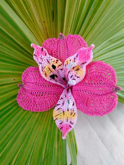 Peruvian Lily