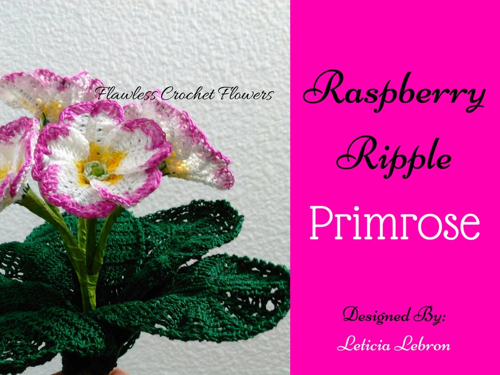 Raspberry Ripple Primrose