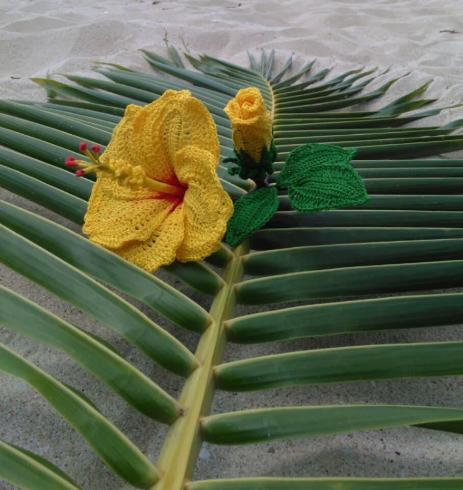 Hawaiian Hibiscus