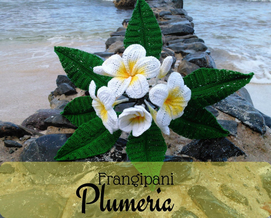 Frangipani Plumeria