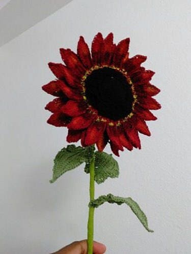 Velvet Queen Sunflower