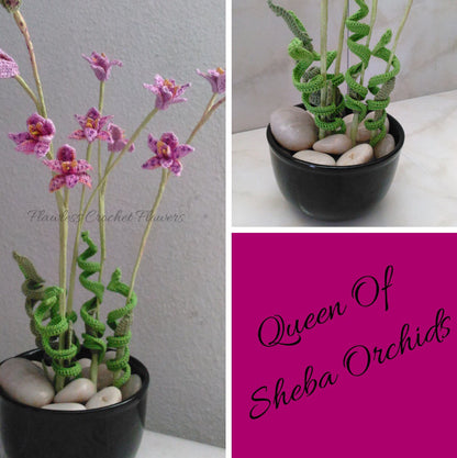 Queens of the Garden Bundle