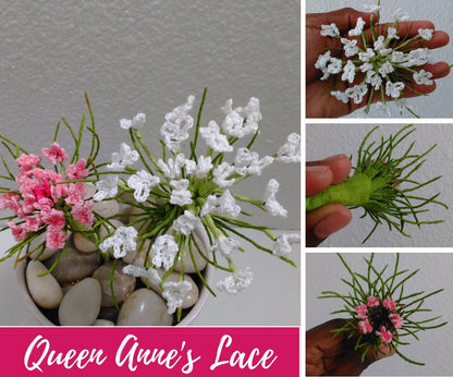 Queens of the Garden Bundle