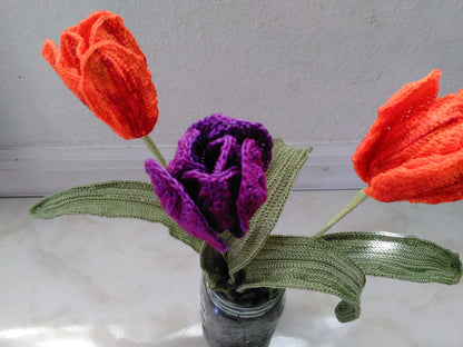 Prince & Princess Tulips