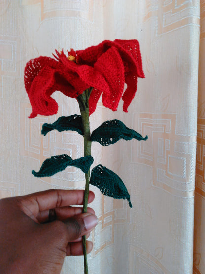 Poinsettia Harlequin