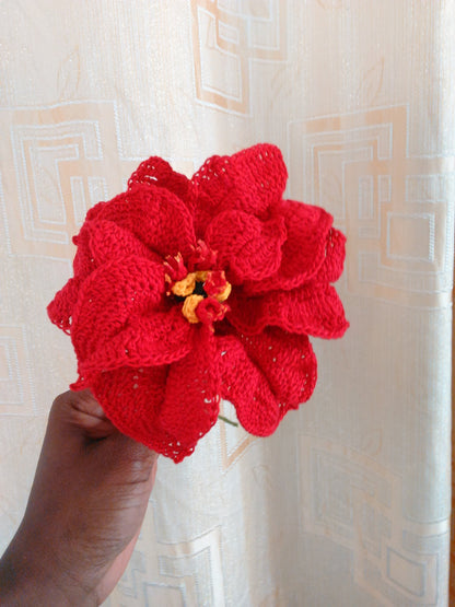 Poinsettia Harlequin