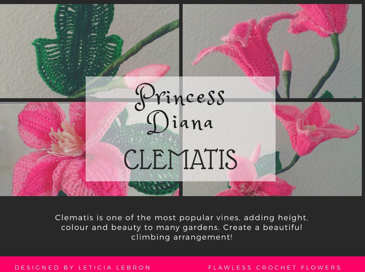 Princess Diana Clematis