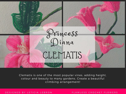 Princess Diana Clematis