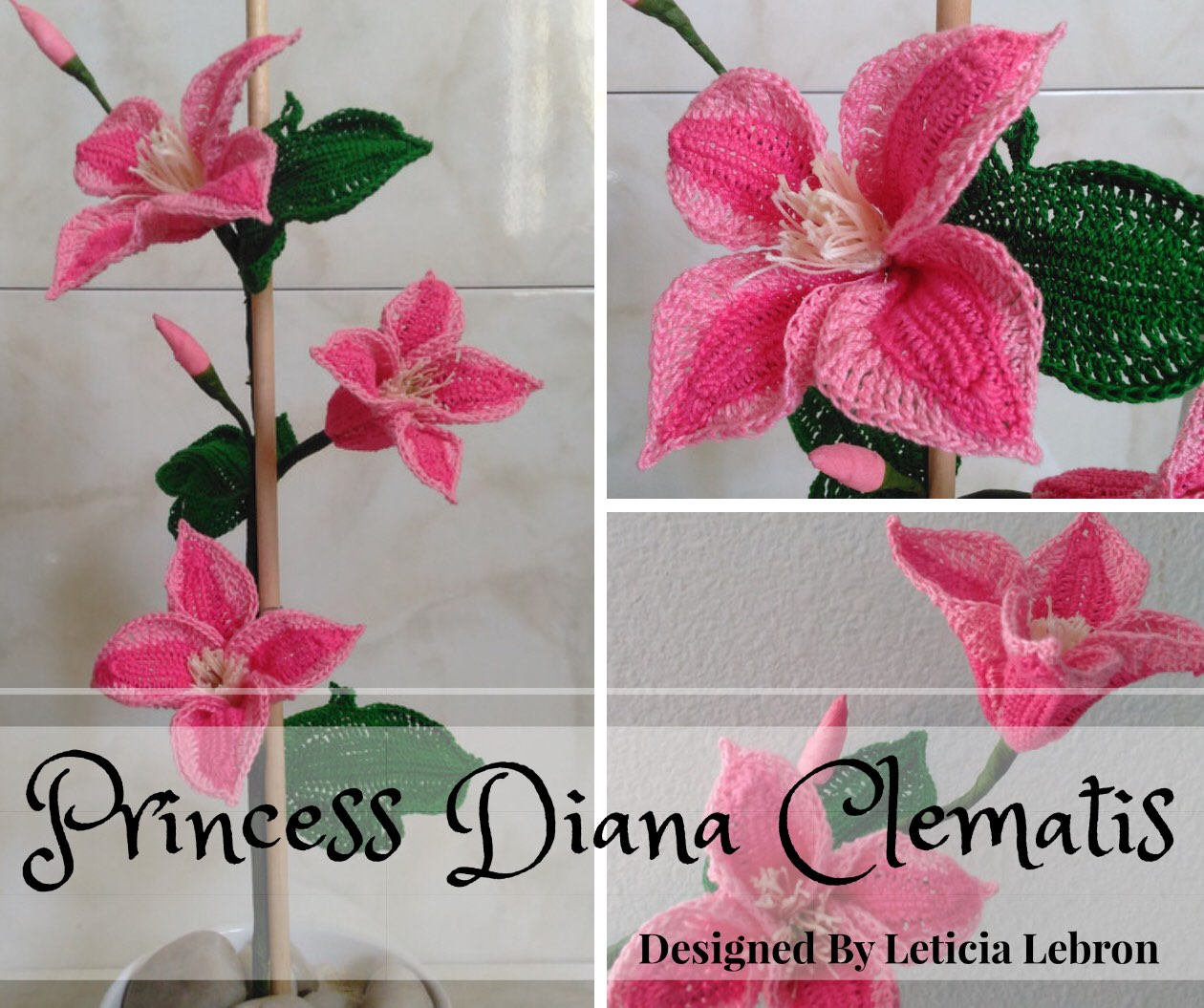 Princess Diana Clematis