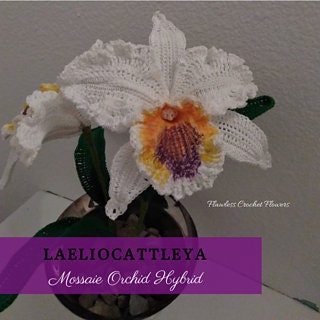 Crochet Cattleya Orchid