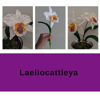 Crochet Cattleya Orchid