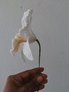 Crochet Cattleya Orchid