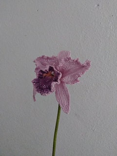 Crochet Cattleya Orchid