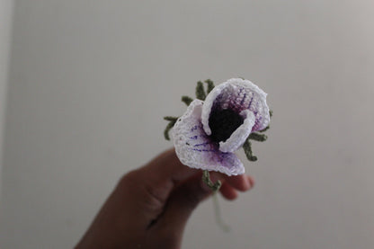 Japanese Anemone