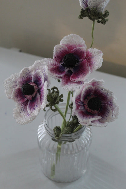 Japanese Anemone