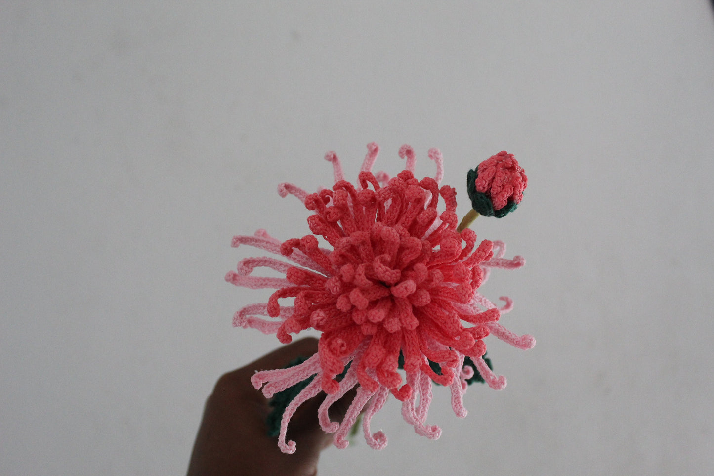 Crochet Spider Chrysanthemum