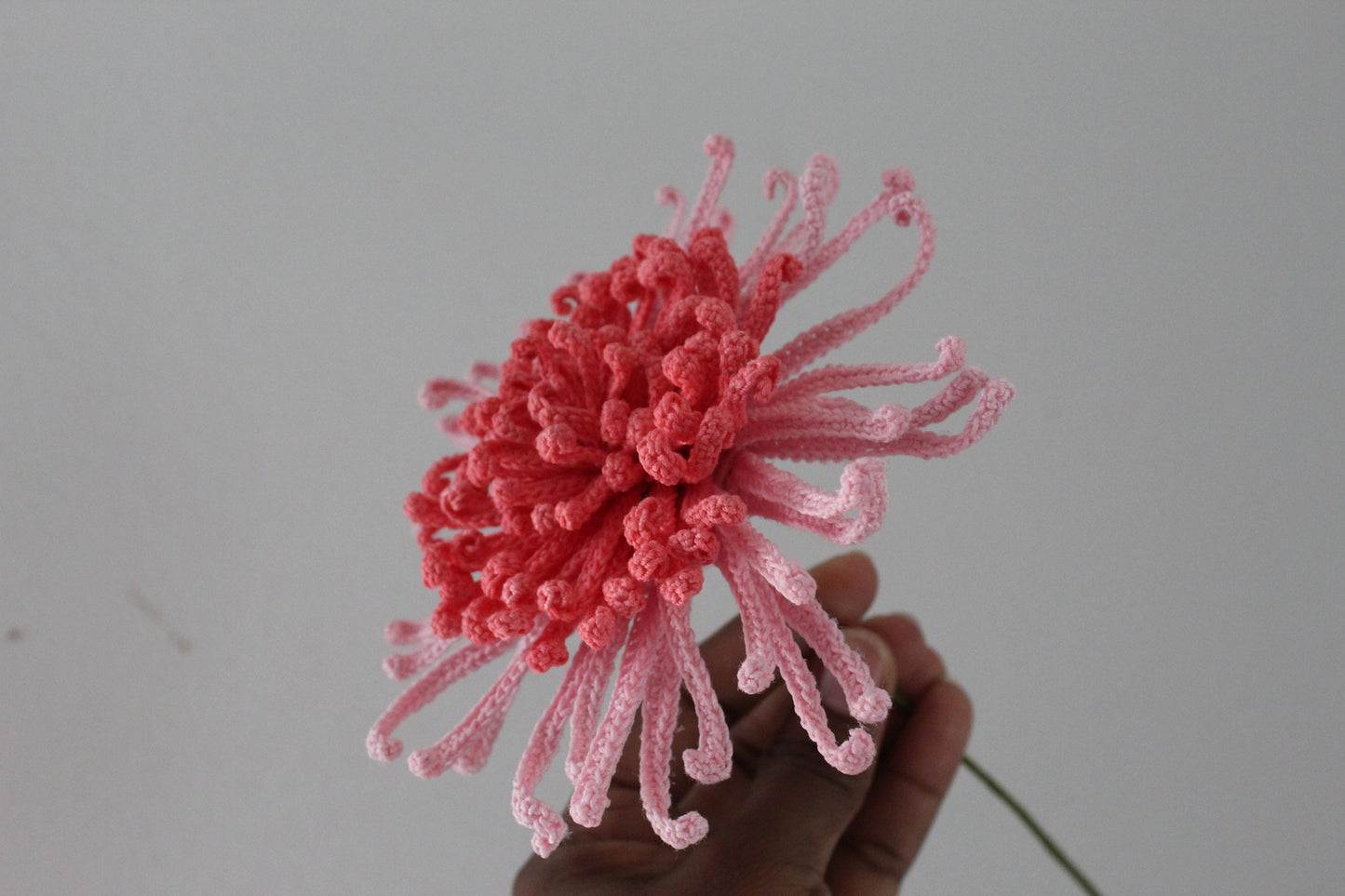 Crochet Spider Chrysanthemum