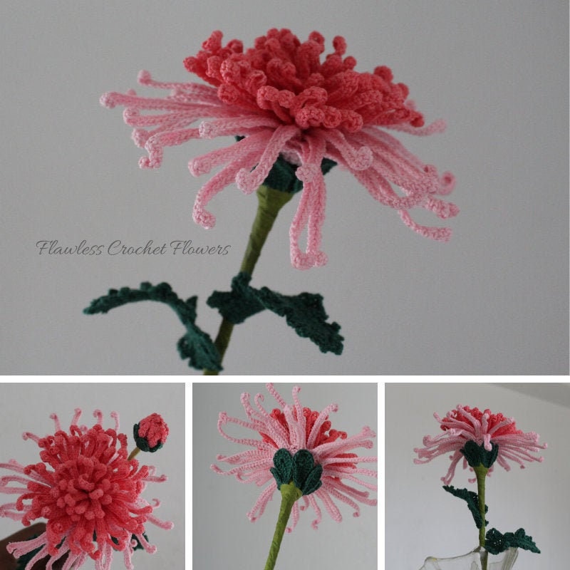 Crochet Spider Chrysanthemum