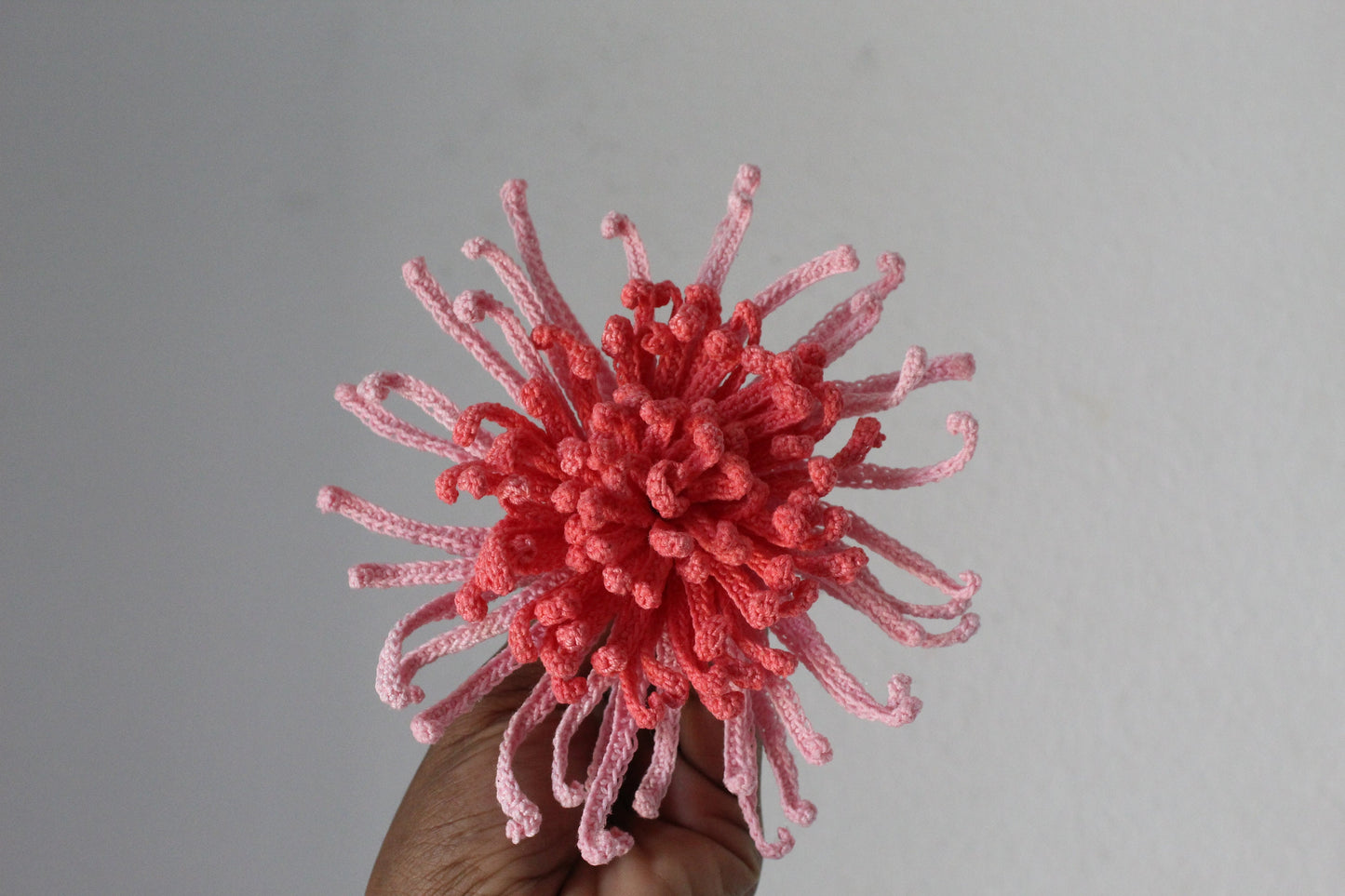 Crochet Spider Chrysanthemum