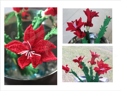 Crochet Christmas Cactus
