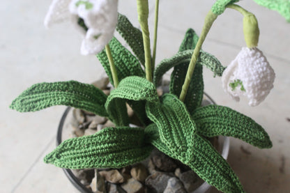 Crochet Snowdrops
