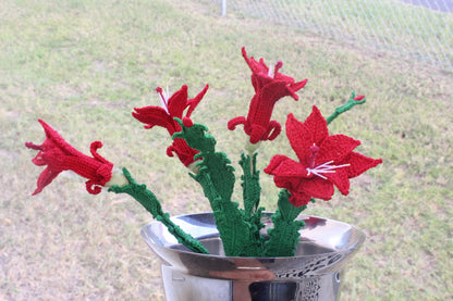 Crochet Christmas Cactus