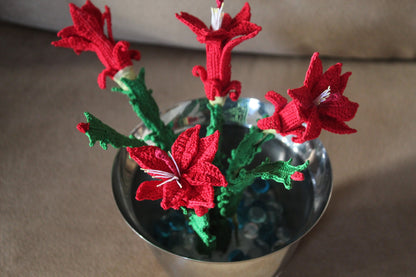 Crochet Christmas Cactus