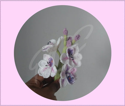 Peacock Water Hyacinth