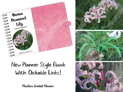 Crochet Nerine Lily
