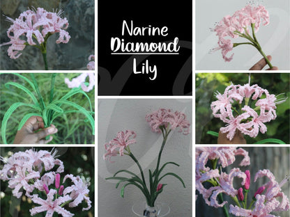Crochet Nerine Lily