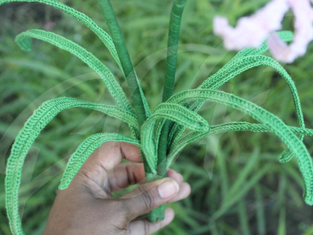 Crochet Nerine Lily