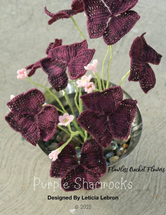 Oxalis Triangularis Shamrock