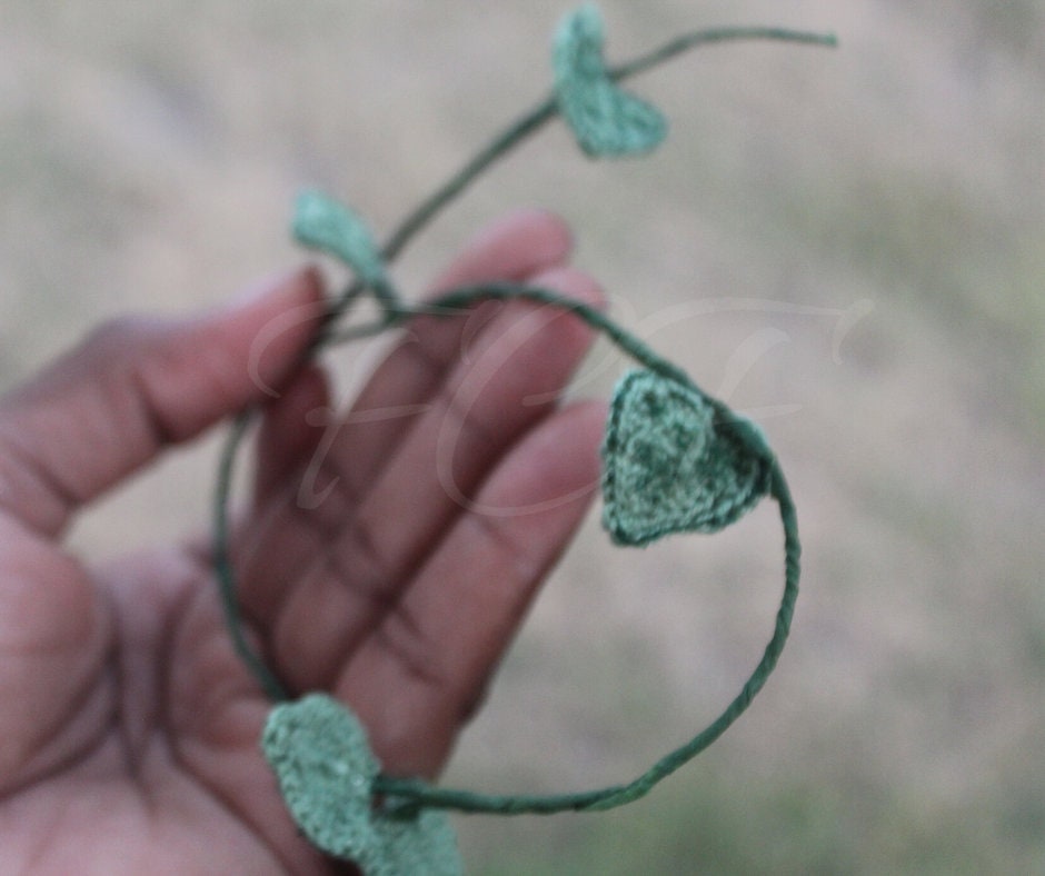 String Of Hearts Succulent