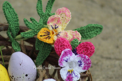 Bunny Ears Pansy