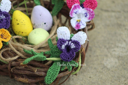Bunny Ears Pansy
