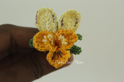 Bunny Ears Pansy