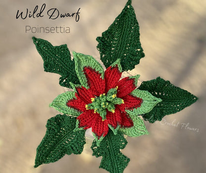 Crochet Wild Poinsettia