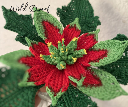 Crochet Wild Poinsettia
