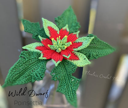 Crochet Wild Poinsettia