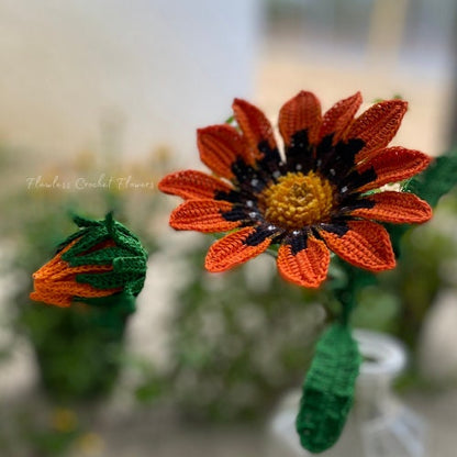 Crochet Gazania Daisy