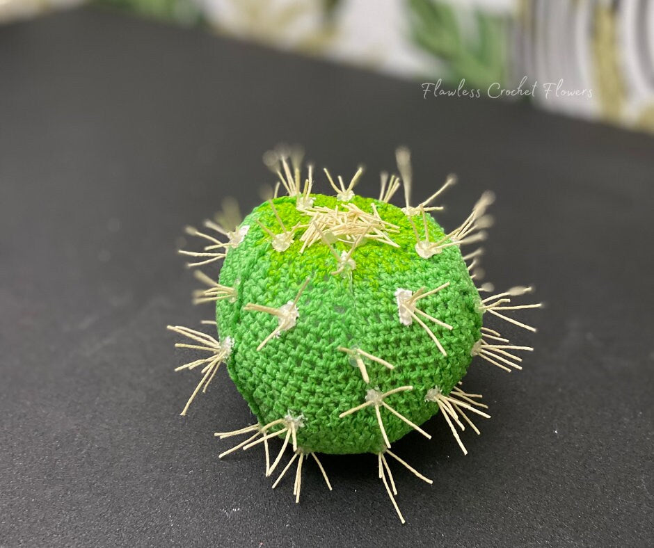 Snowflake Cactus