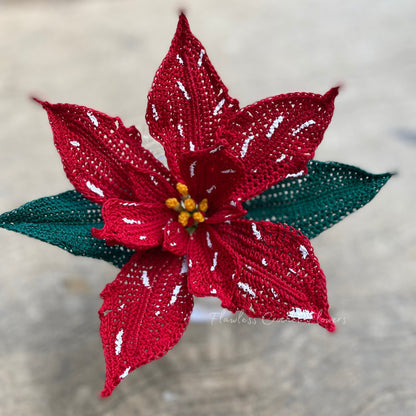 White Glitter Poinsettia,