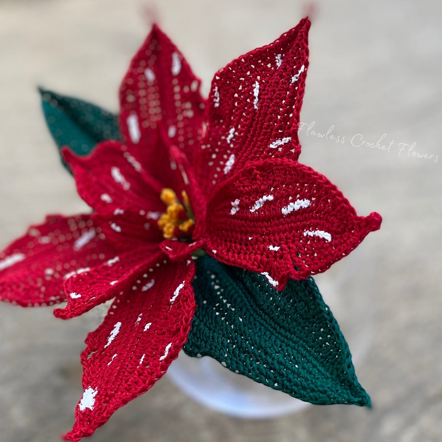 White Glitter Poinsettia,