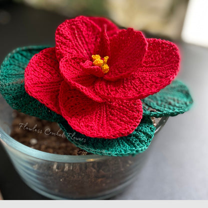 Christmas Mouse Poinsettia