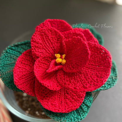 Christmas Mouse Poinsettia