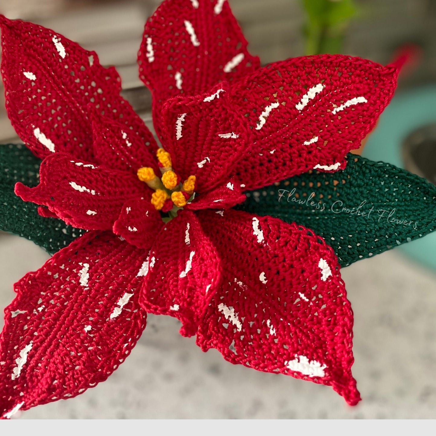 White Glitter Poinsettia,