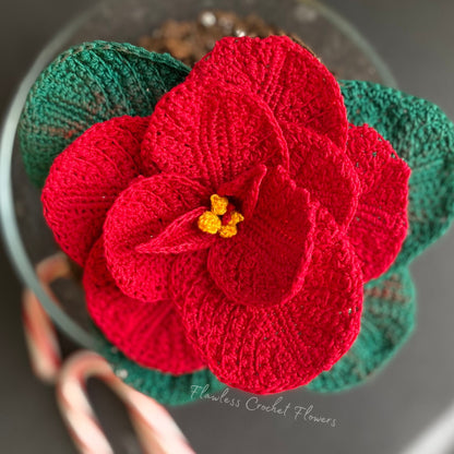 Christmas Mouse Poinsettia